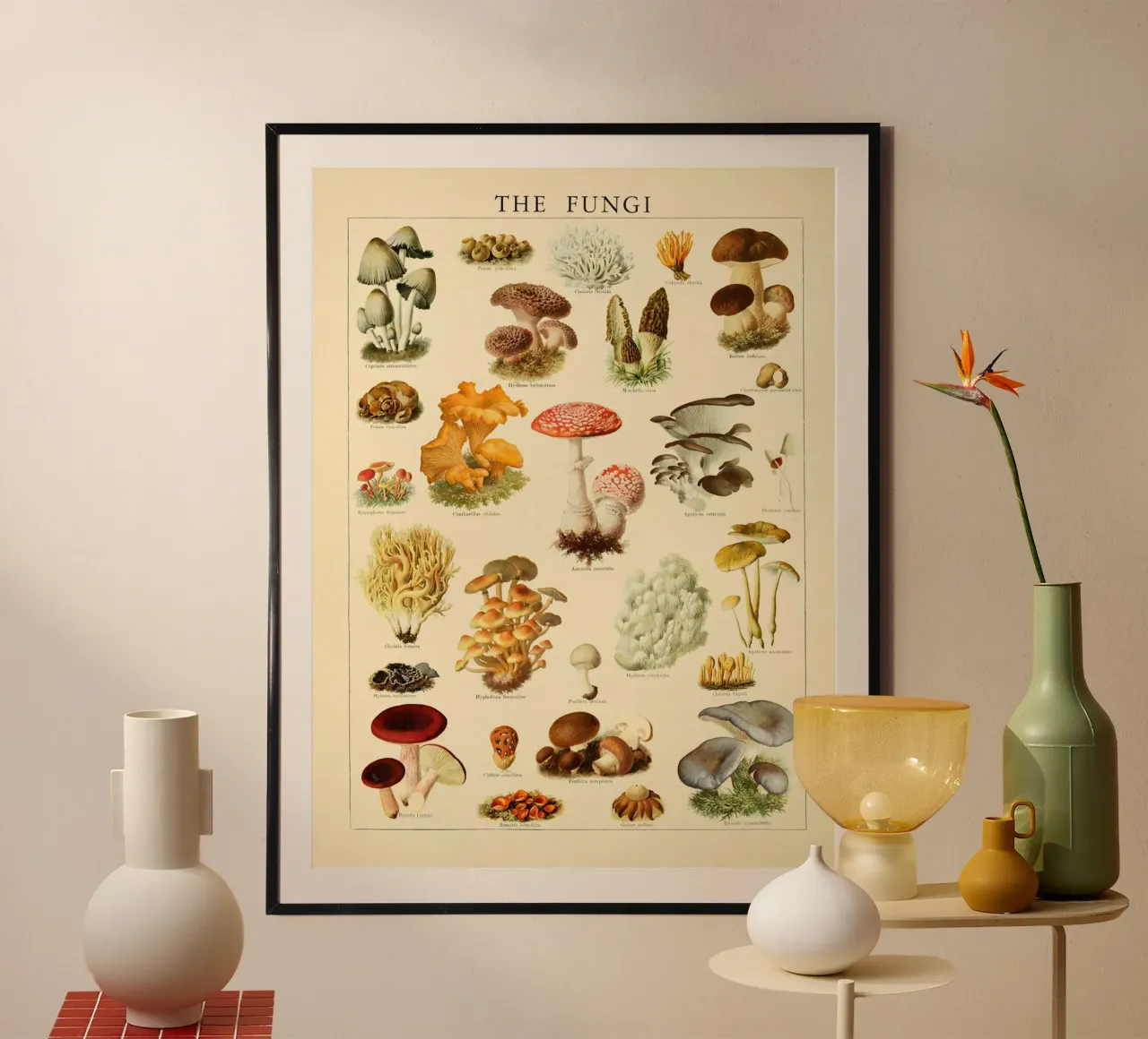 Mushrooms Vintage Illustration poster by liu