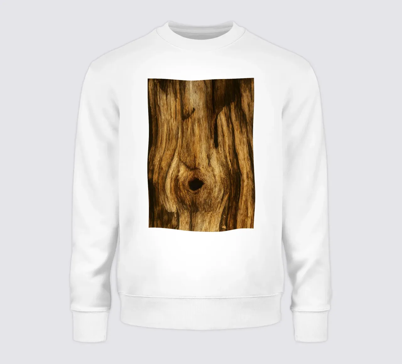 tronc d'arbre pourri vue photographie sweat de landtengs