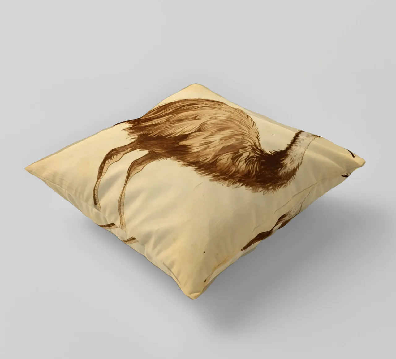 Uccello Emu cuscino da knowledge
