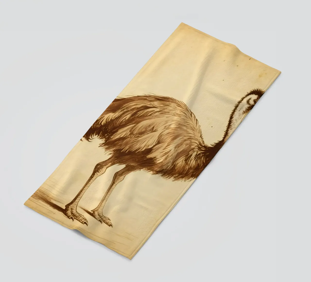 Uccello Emu telo mare da knowledge