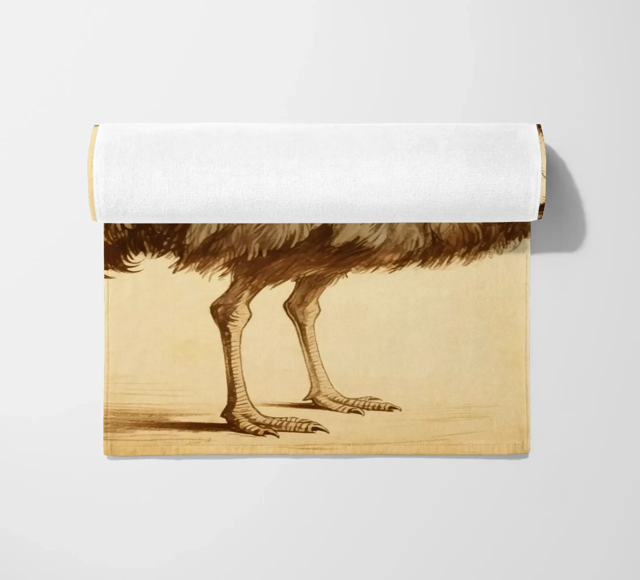 Uccello Emu telo mare da knowledge