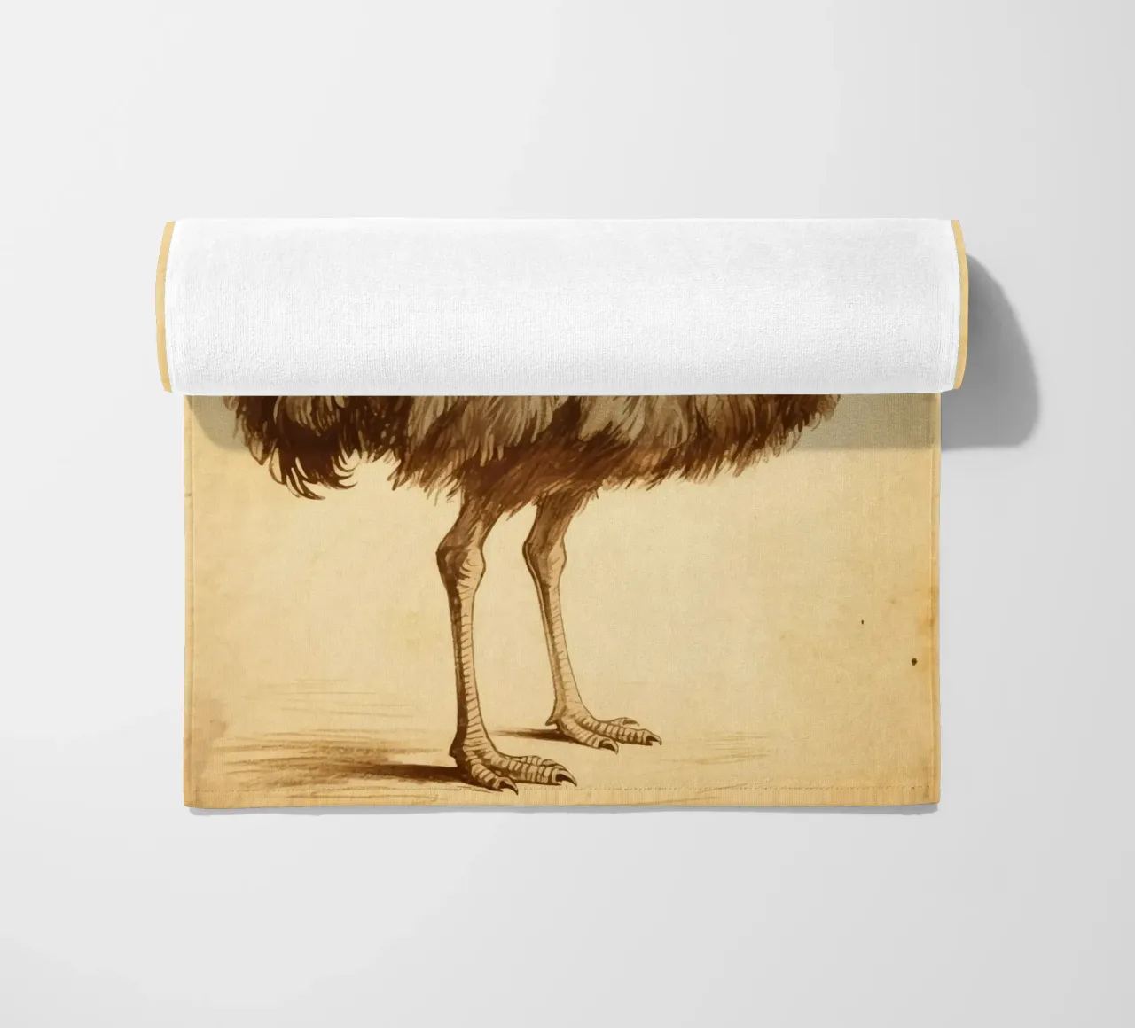 Uccello Emu telo mare da knowledge