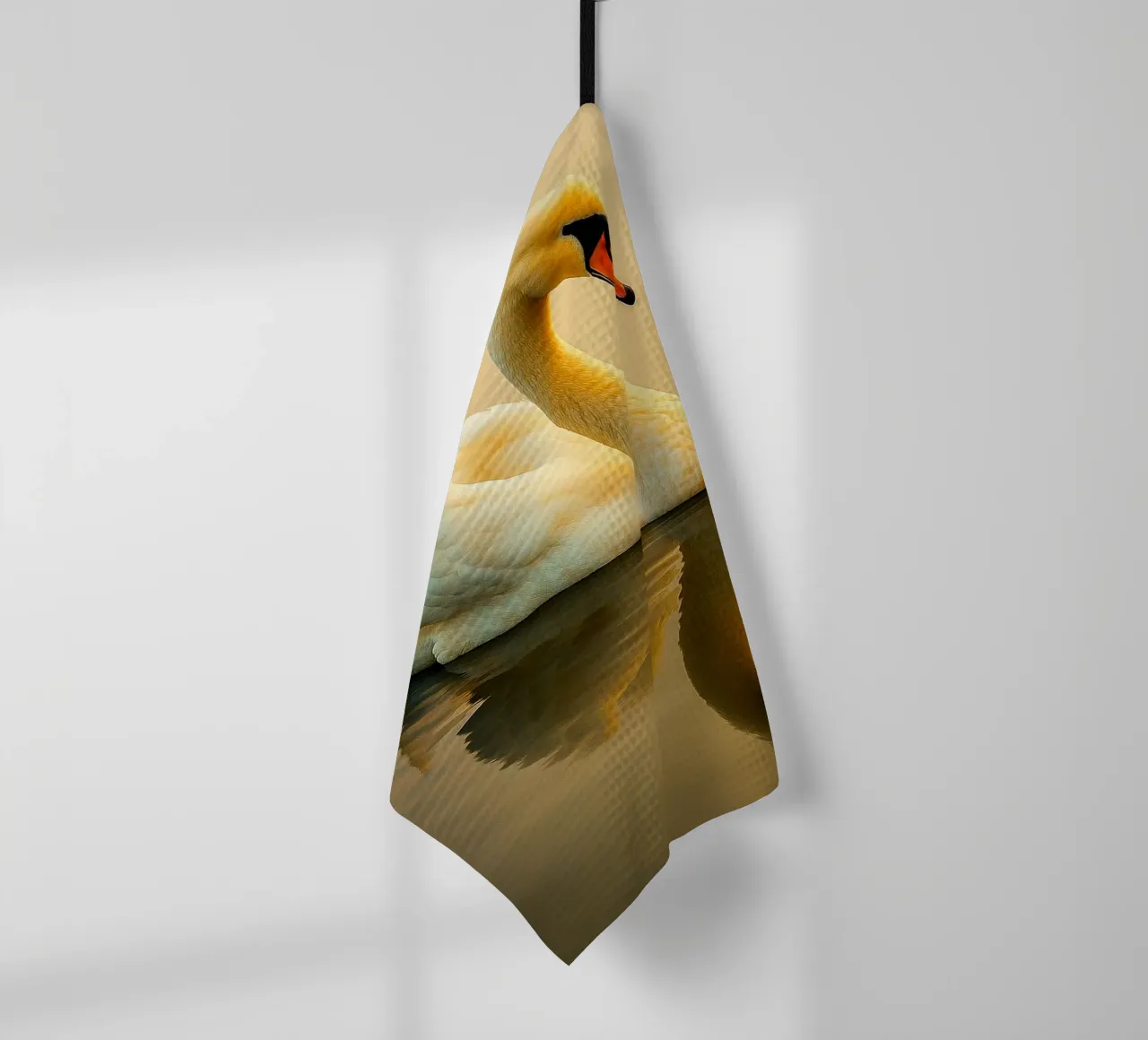 cygnes nageant vue photographie torchon de landtengs