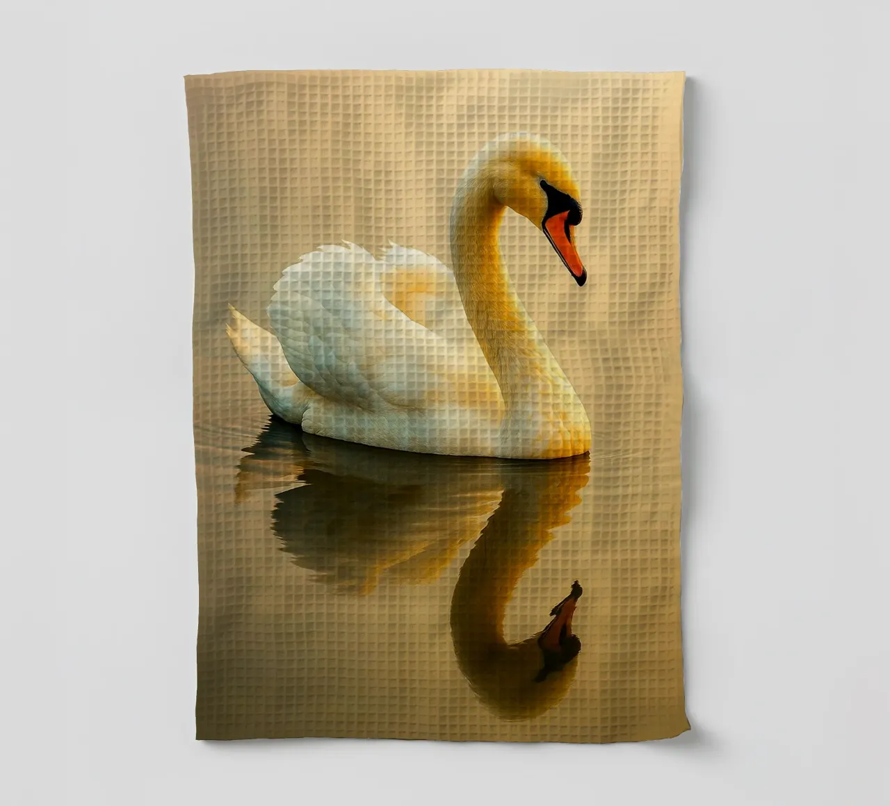 cygnes nageant vue photographie torchon de landtengs