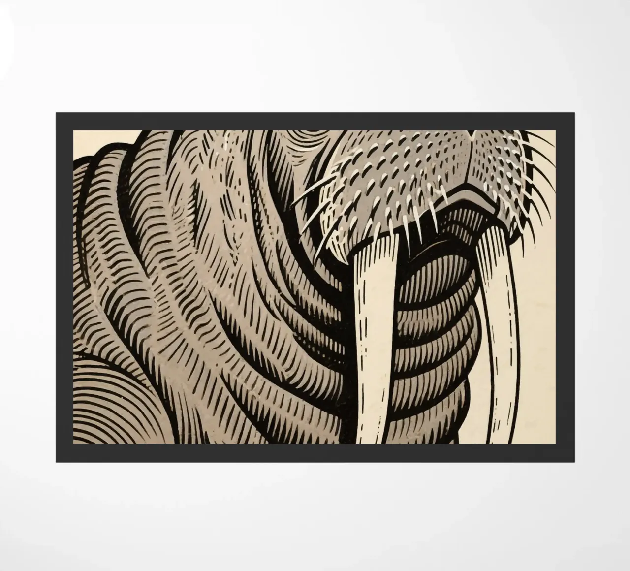 Tricheco zerbino da knowledge