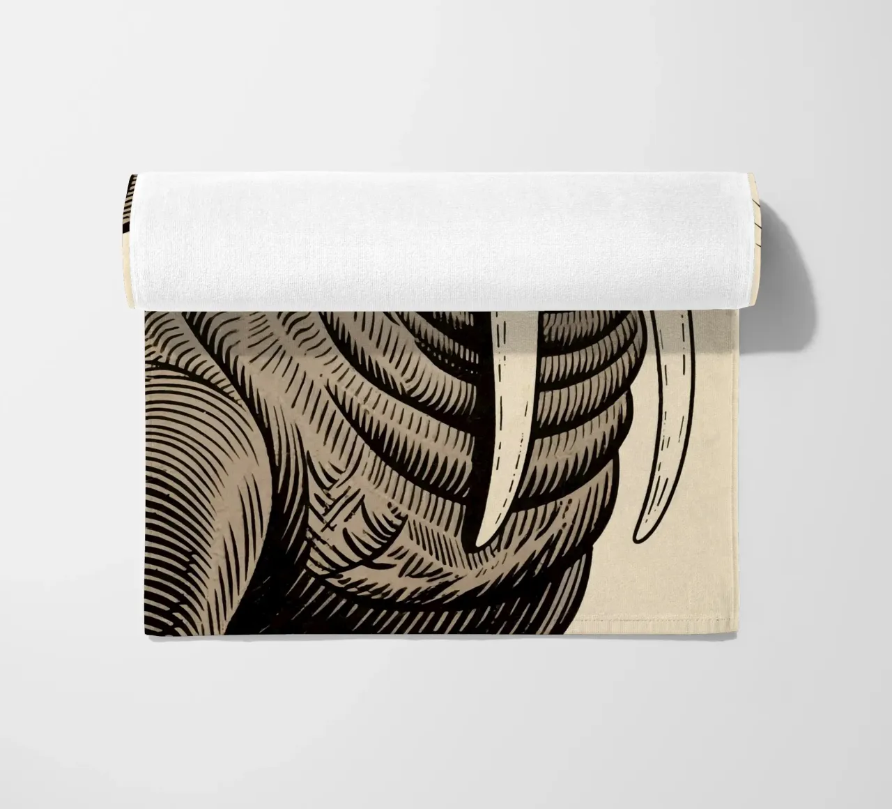 Walrus telo mare da knowledge