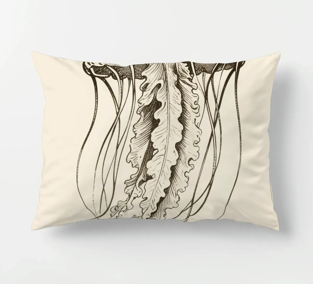 Medusa cuscino da knowledge