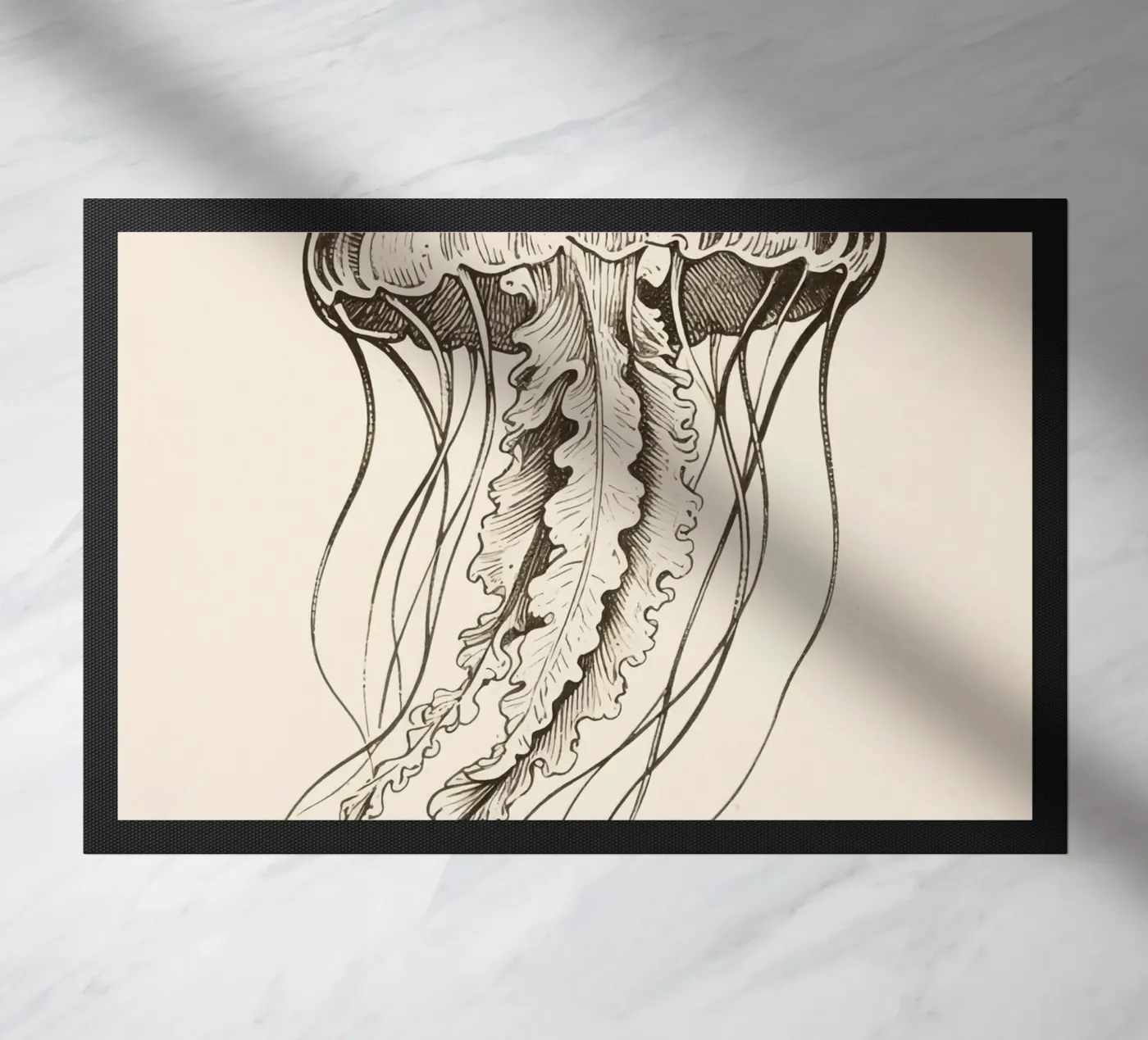 Medusa zerbino da knowledge