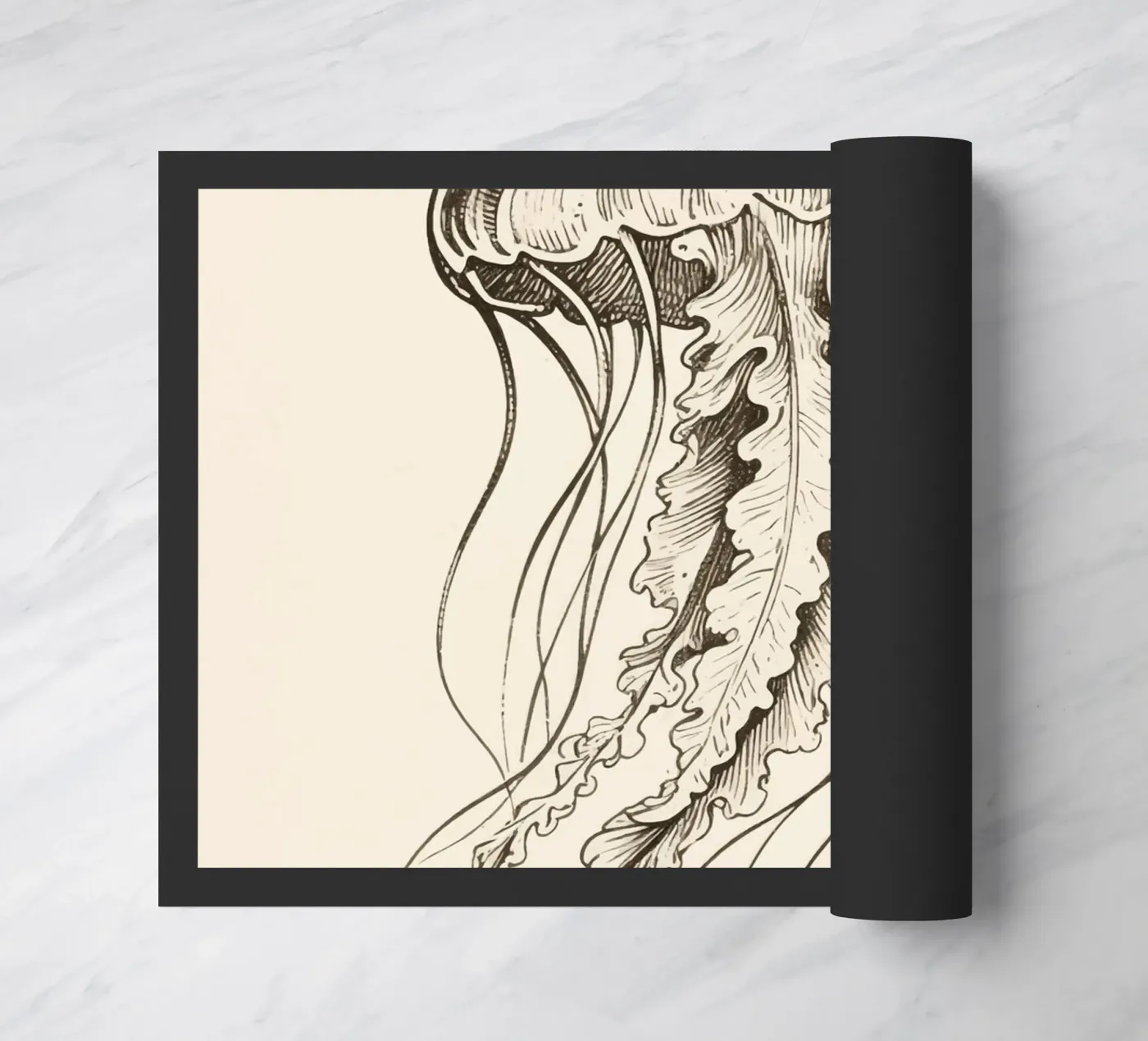 Medusa zerbino da knowledge