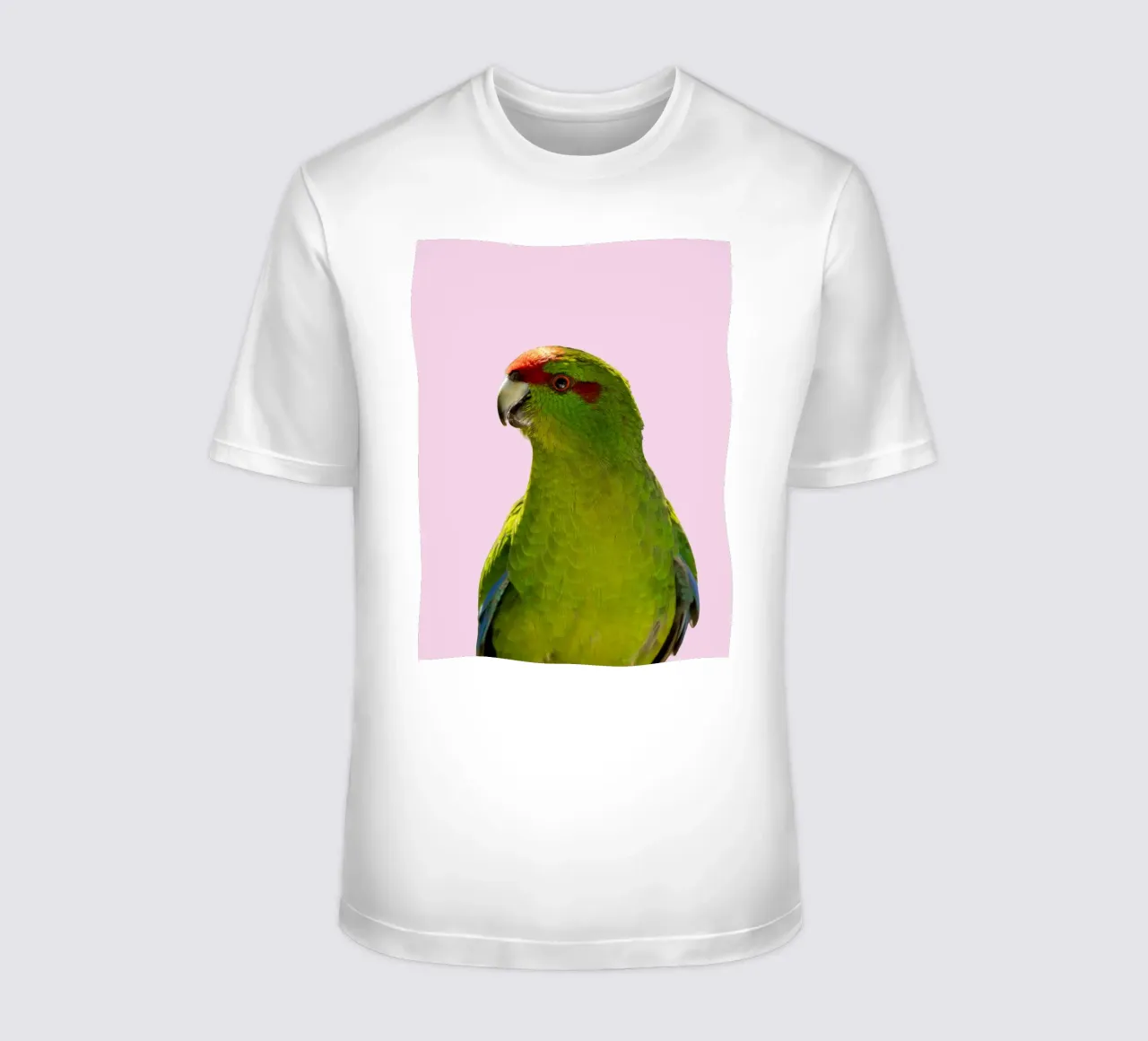 Pappagallo colorato / uccello su rosa t-shirt da Schuhmann Design