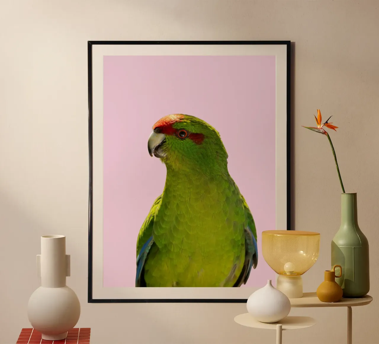 Pappagallo colorato / uccello su rosa poster con telaio in plastica da Schuhmann Design