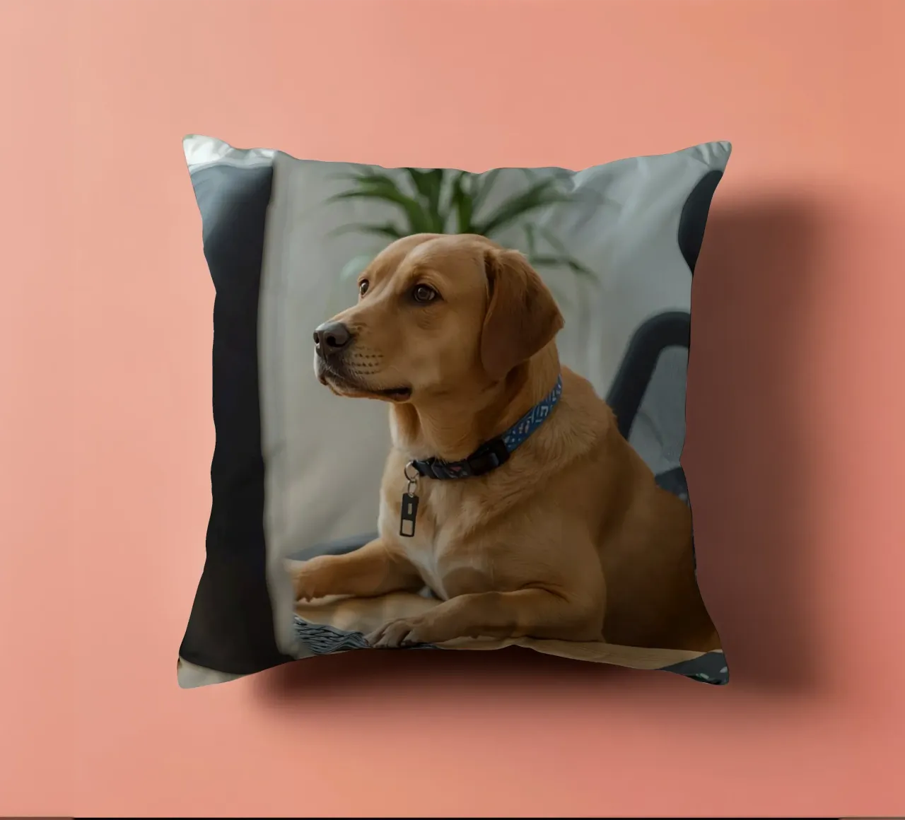 Cane seduto al computer a scrivere cuscino da DesignDoodle