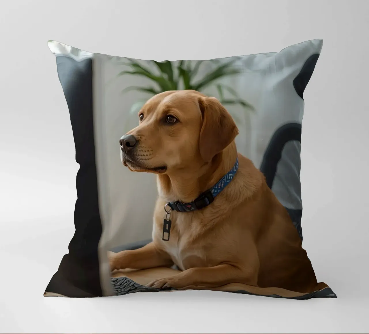 Cane seduto al computer a scrivere cuscino da DesignDoodle