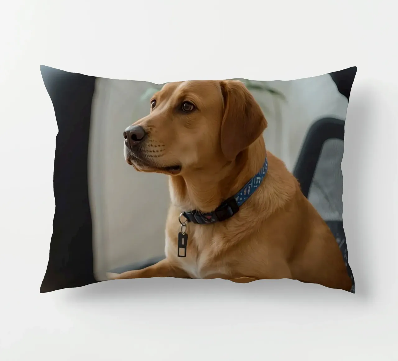 Cane seduto al computer a scrivere cuscino da DesignDoodle