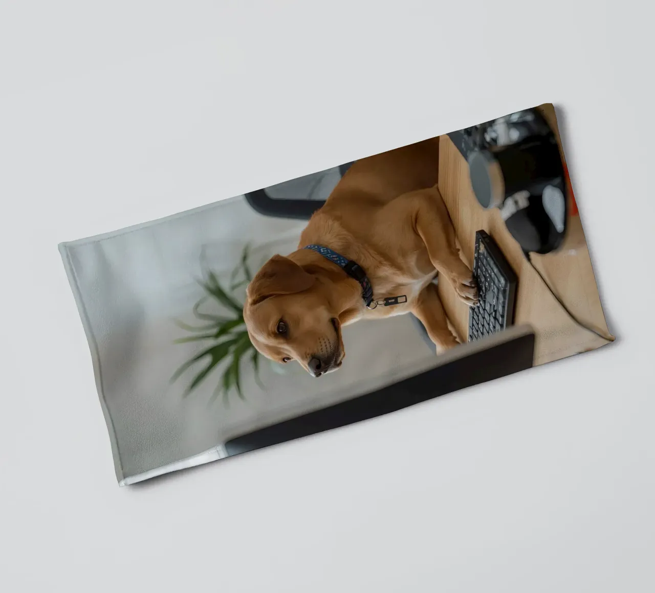 Chien assis devant un ordinateur en train de taper serviette de bain de DesignDoodle