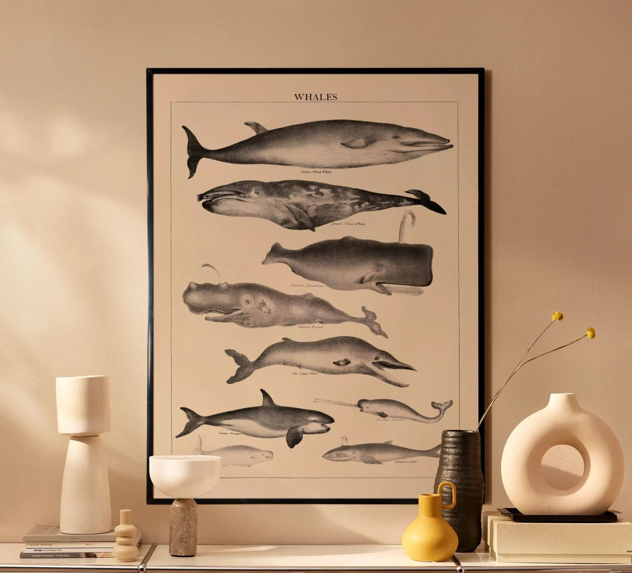 Ballenas Ilustración Vintage poster de liu