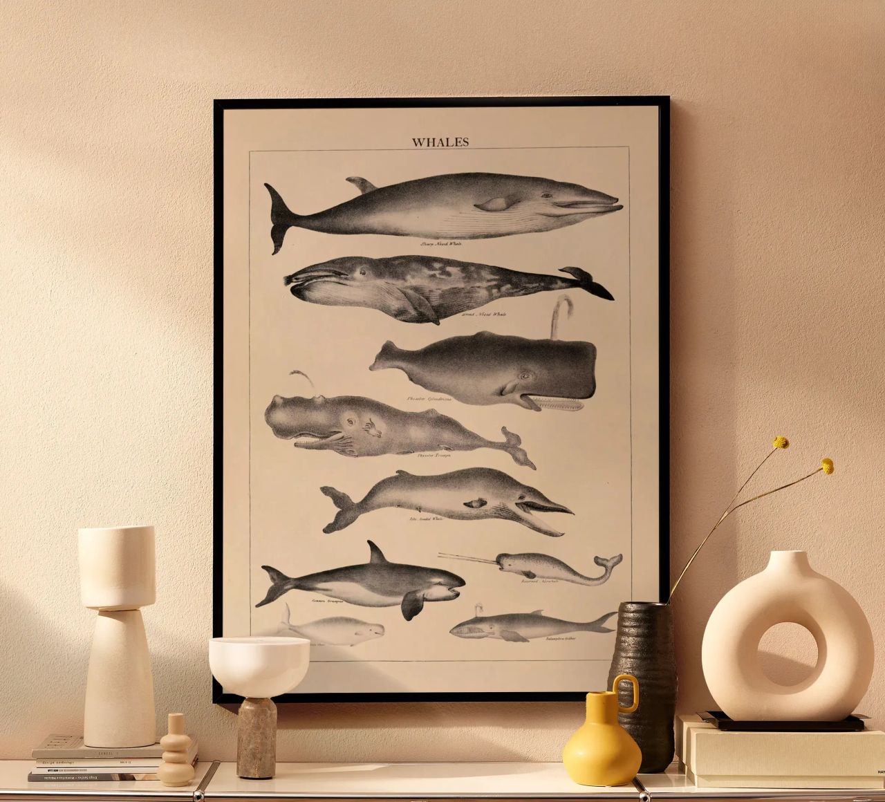 Ballenas Ilustración Vintage poster de liu