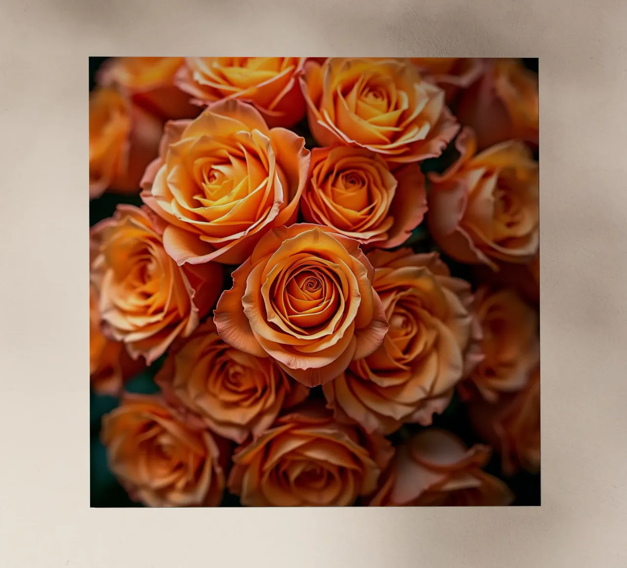 Rose_arancio pellicola backlit da Farb- und Blütenzauber by LK