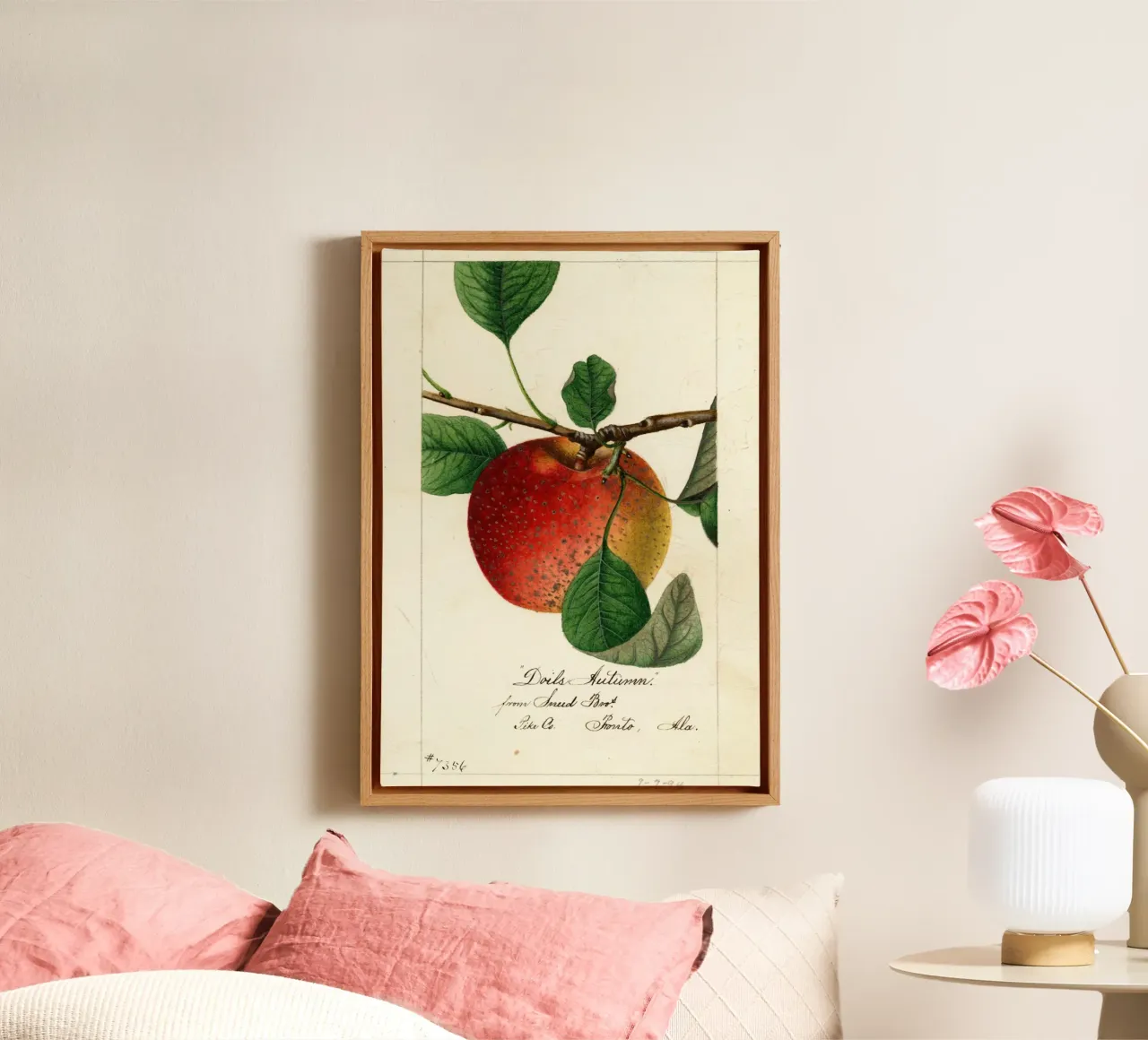 Antiker Apfel Botanischer Druck Doil's Autumn Leinwand mit Schattenfugenrahmen von vintagepod