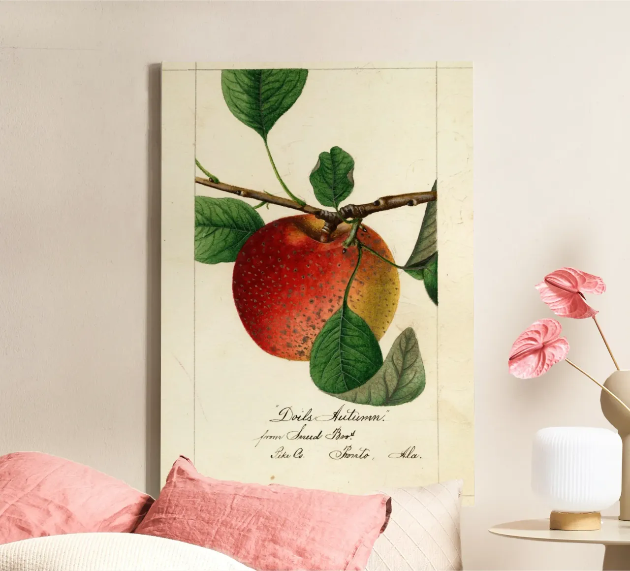 Antiker Apfel Botanischer Druck Doil's Autumn Leinwand mit Schattenfugenrahmen von vintagepod