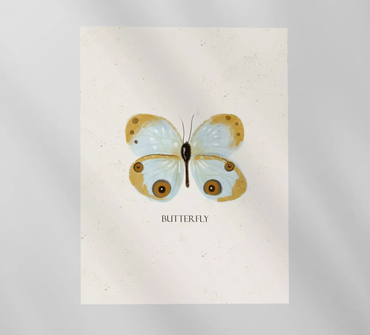 Farfalla pellicola backlit da Indigo Rain