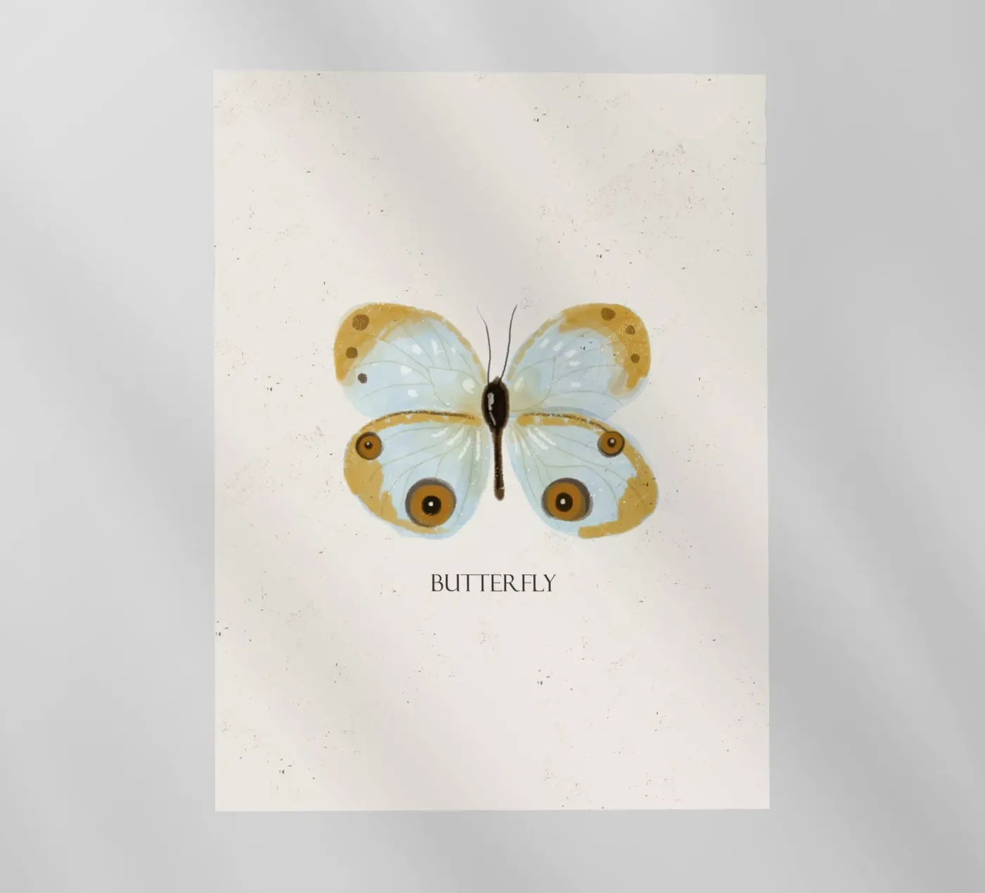 Butterfly backlit film by Indigo Rain