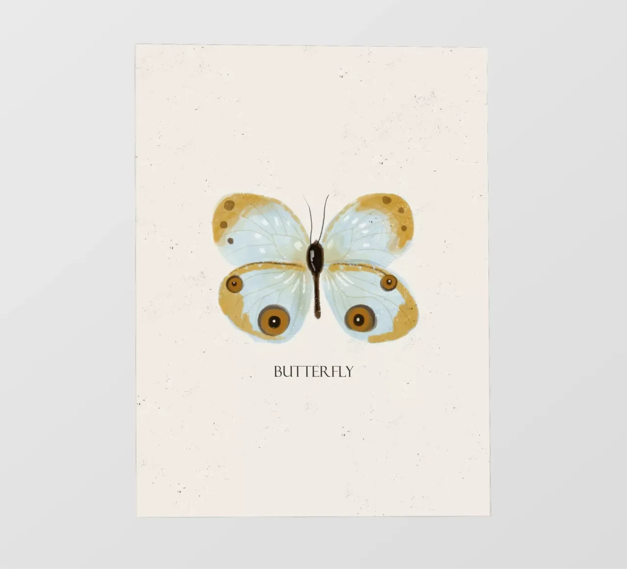 Farfalla pellicola backlit da Indigo Rain