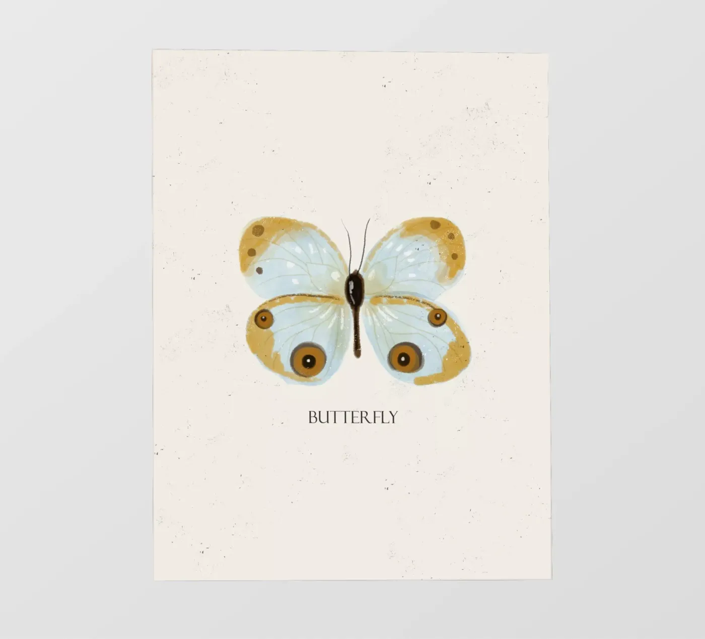 Butterfly backlit film by Indigo Rain