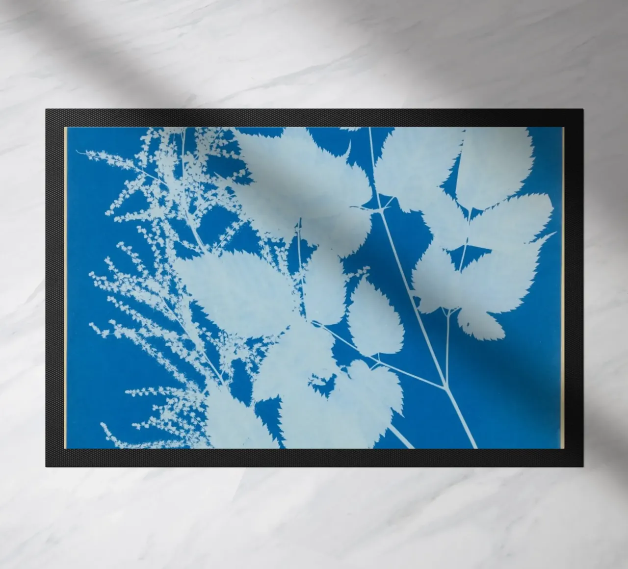 Spiraea aruncus (Tyrol) zerbino da vintageshop