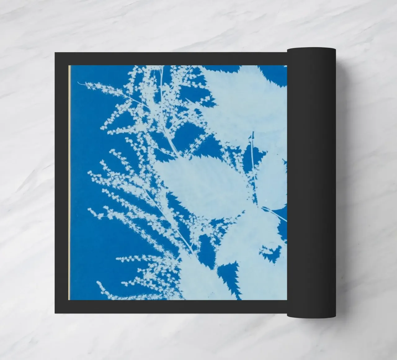 Spiraea aruncus (Tyrol) zerbino da vintageshop