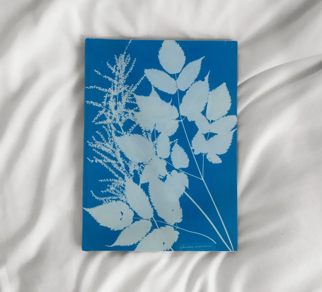 Spiraea aruncus (Tyrol) notebook by vintageshop