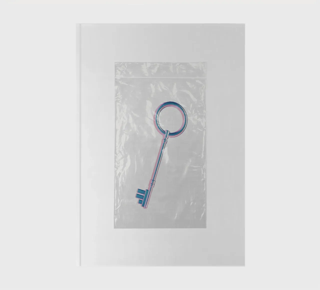 chiave iridescente in un sacchetto di plastica diario da morphinaeblue