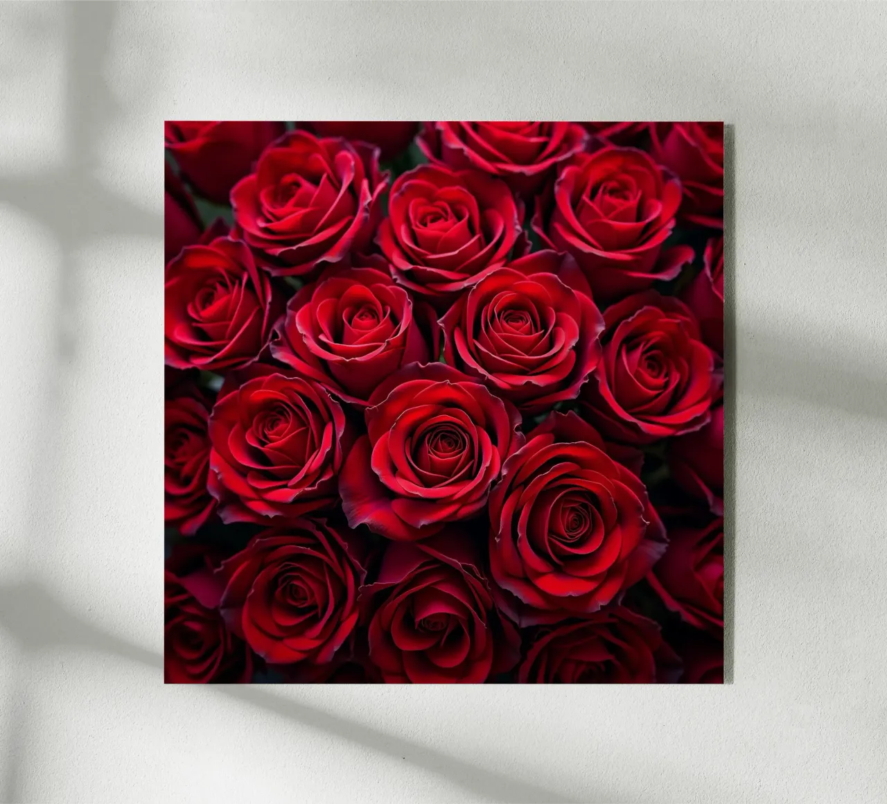 Rose_rosse plexiglass da Farb- und Blütenzauber by LK