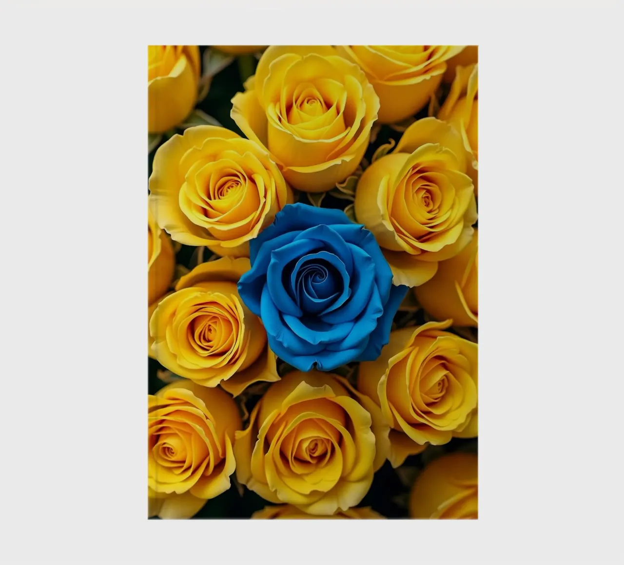 Roses_jaune_bleu_1 carnet de notes de Farb- und Blütenzauber by LK