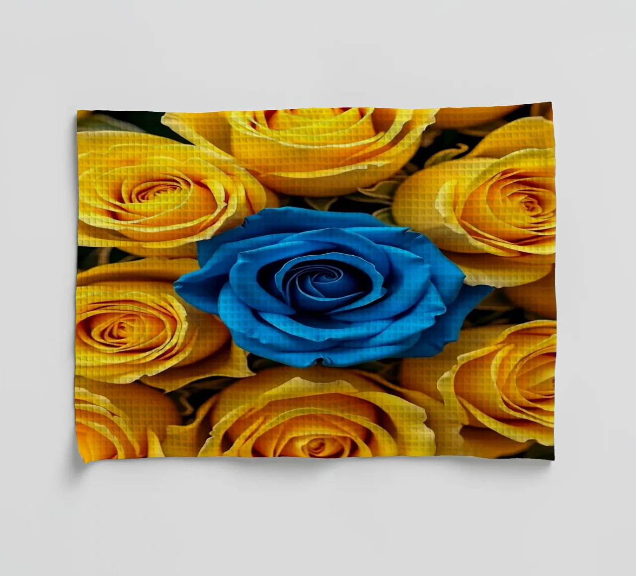 Roses_jaune_bleu_1 torchon de Farb- und Blütenzauber by LK