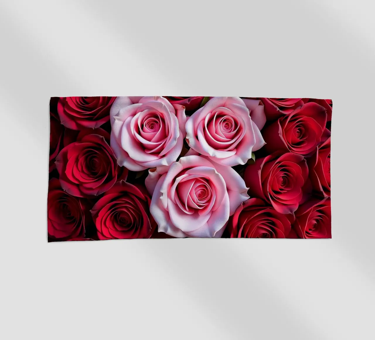 Rosen_rot_pink_2 telo mare da Farb- und Blütenzauber by LK