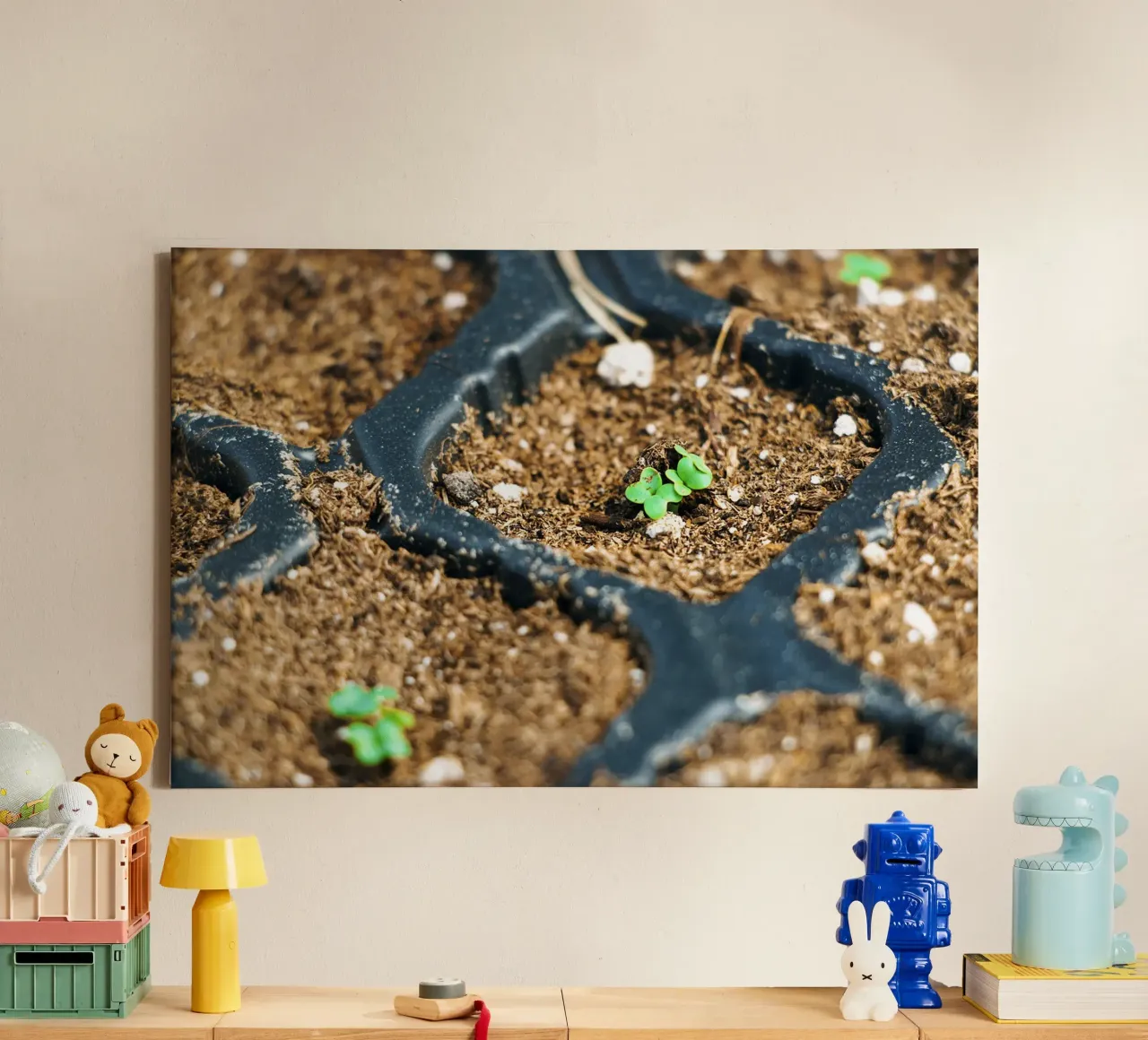 Tiny Beginnings - Seedlings Fine Art Print lienzo con Marco flotante de jay