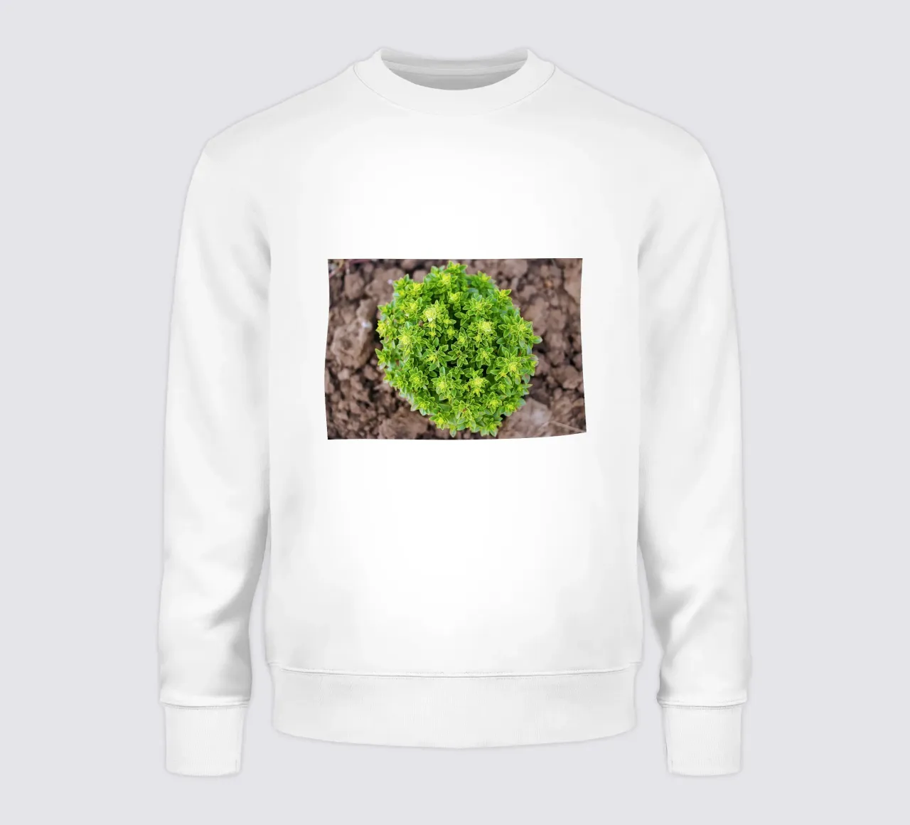 Tourbillon vert - Impression d'art sur le basilic sweat de jay