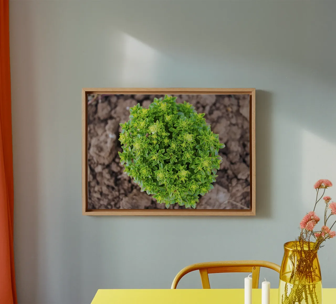 Grüner Kringel - Basilikum Pflanze Kunstdruck Leinwand mit Schattenfugenrahmen von jay