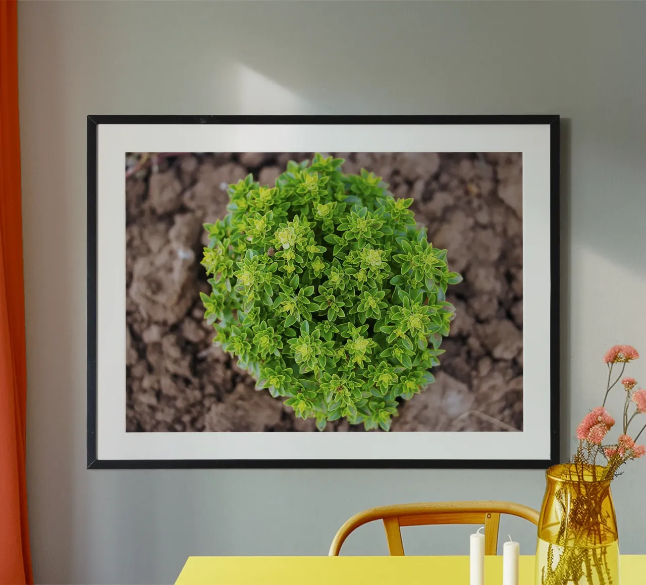 Whorl verde - Pianta di basilico Stampa d'arte poster da jay