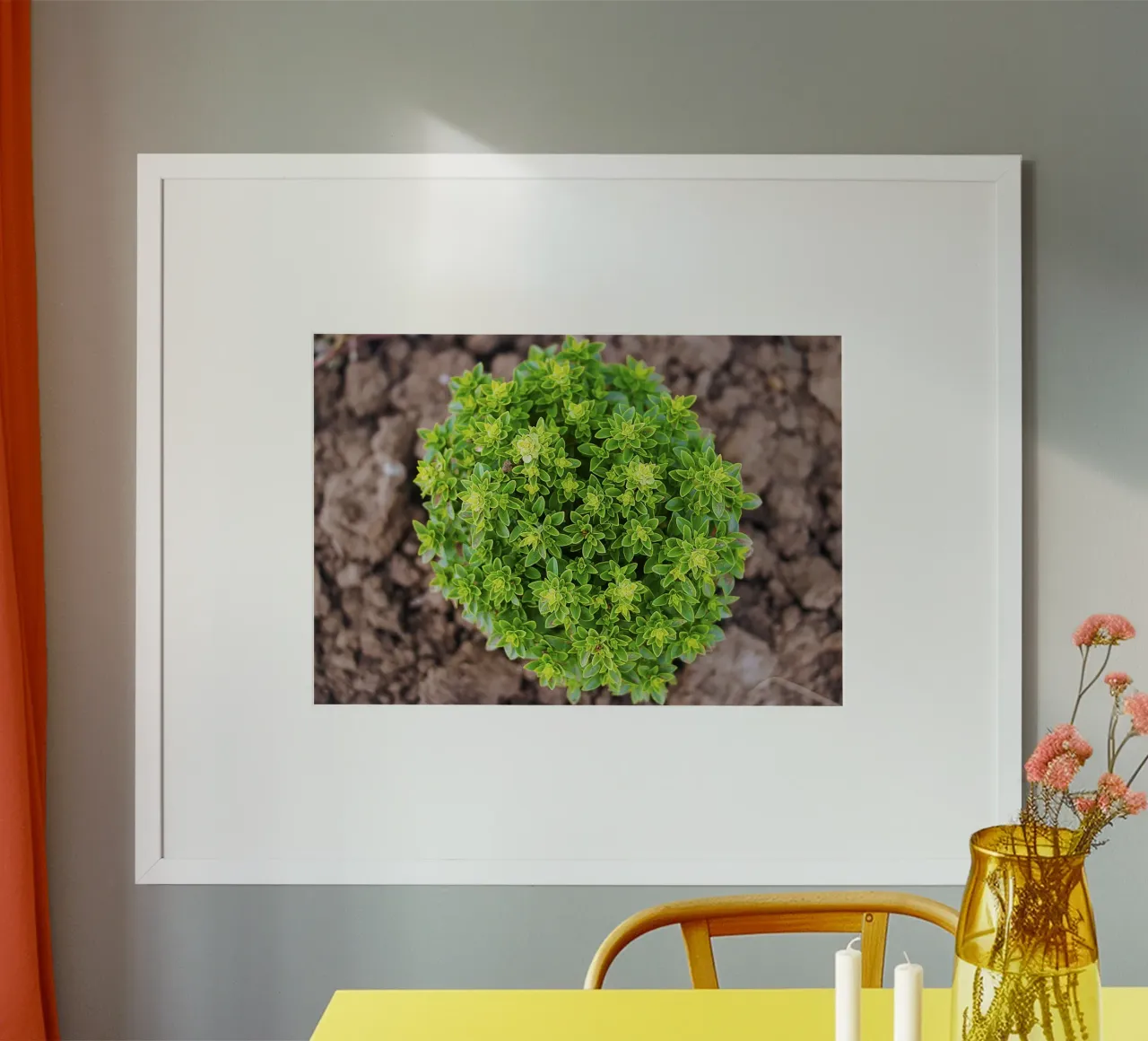 Whorl verde - Pianta di basilico Stampa d'arte poster da jay