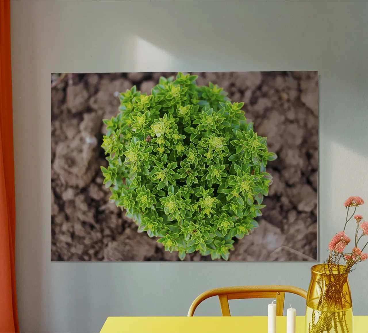 Whorl verde - Pianta di basilico Stampa d'arte poster da jay