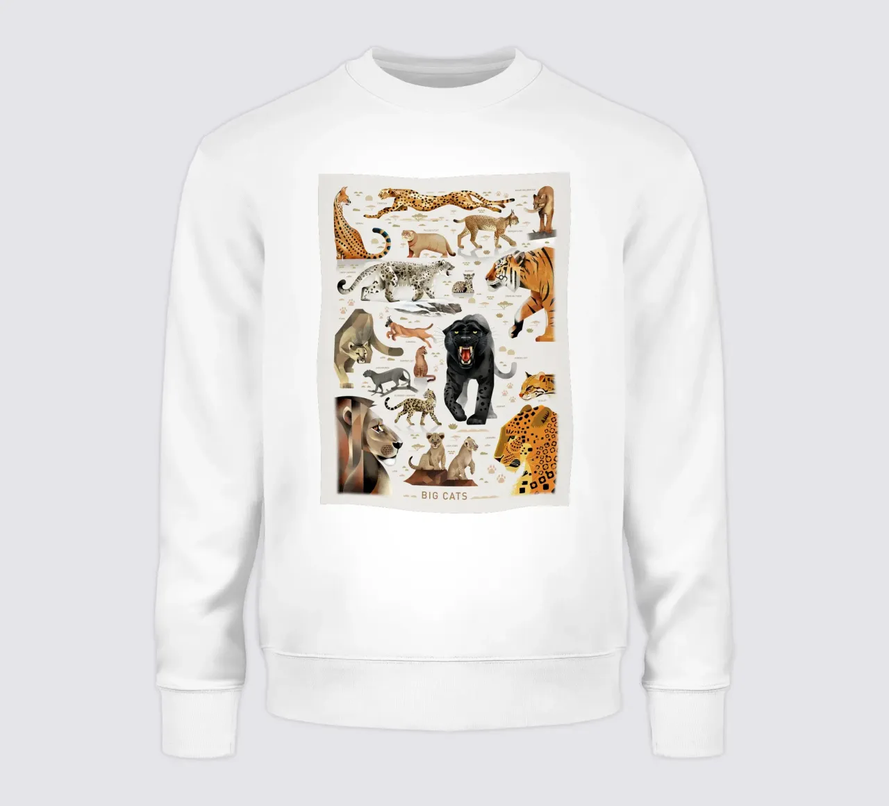 Stampa Big Cats II felpa da MelisaArt
