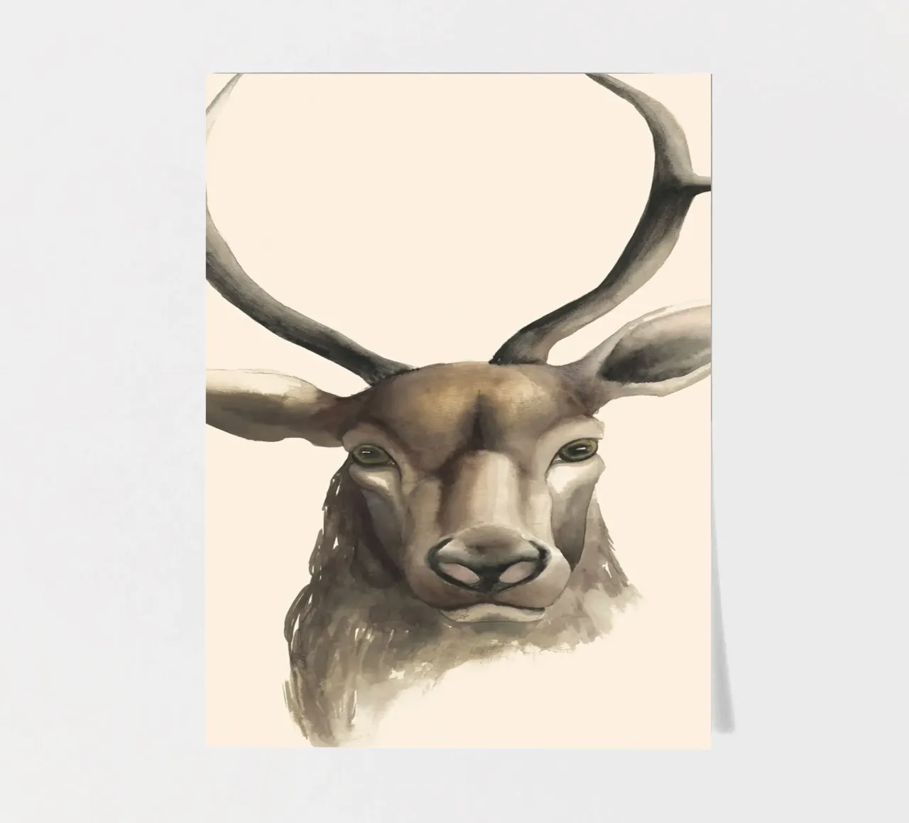 Deer study print sticker sheet by medineprint