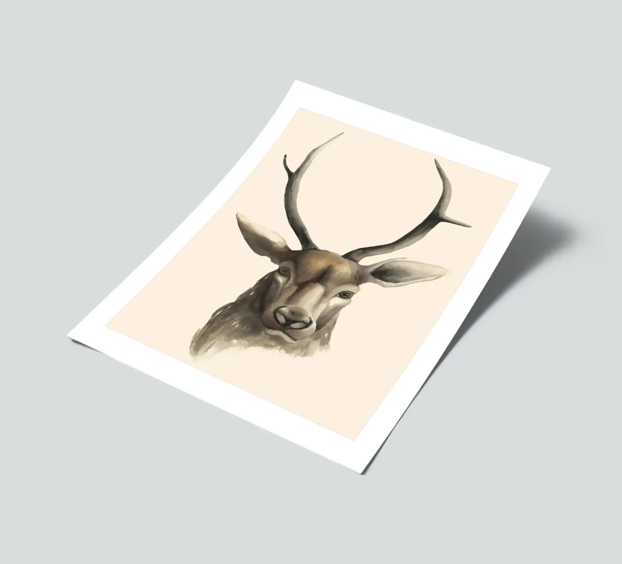 Deer study print sticker sheet by medineprint