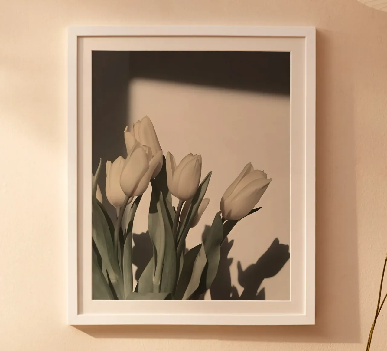 Tulipani poster da luxi&lace