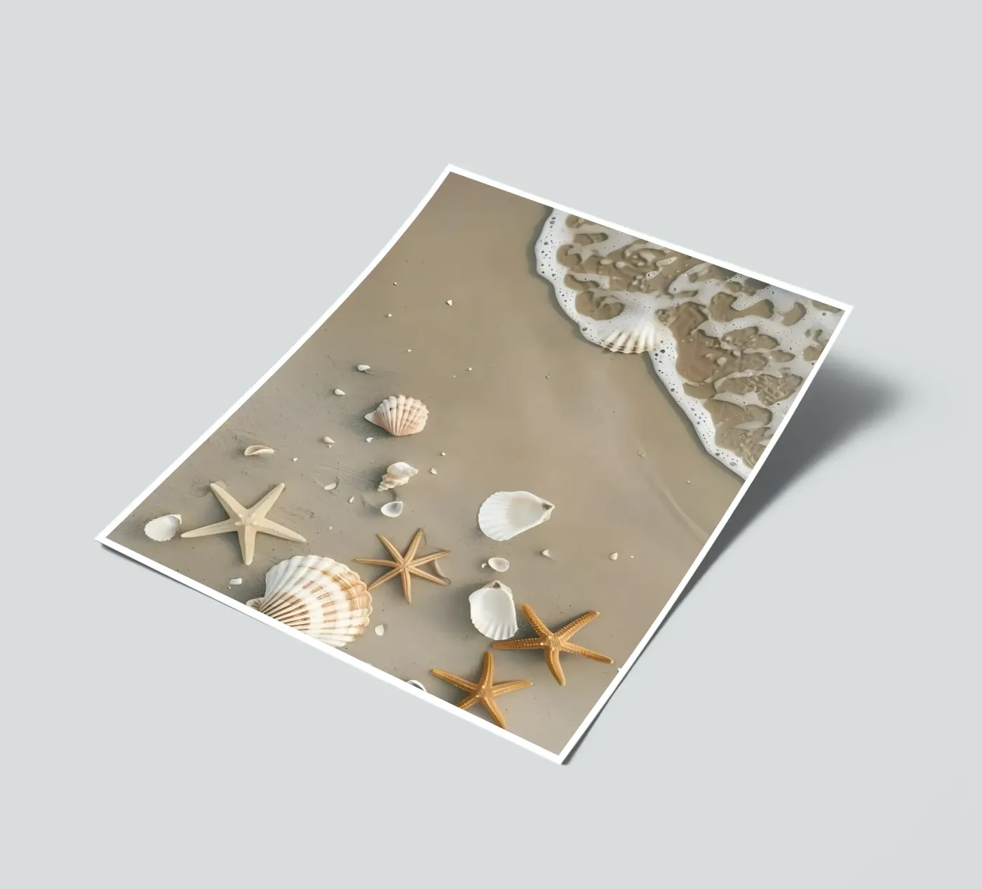 Sea Shells sticker sheet by luxi&lace