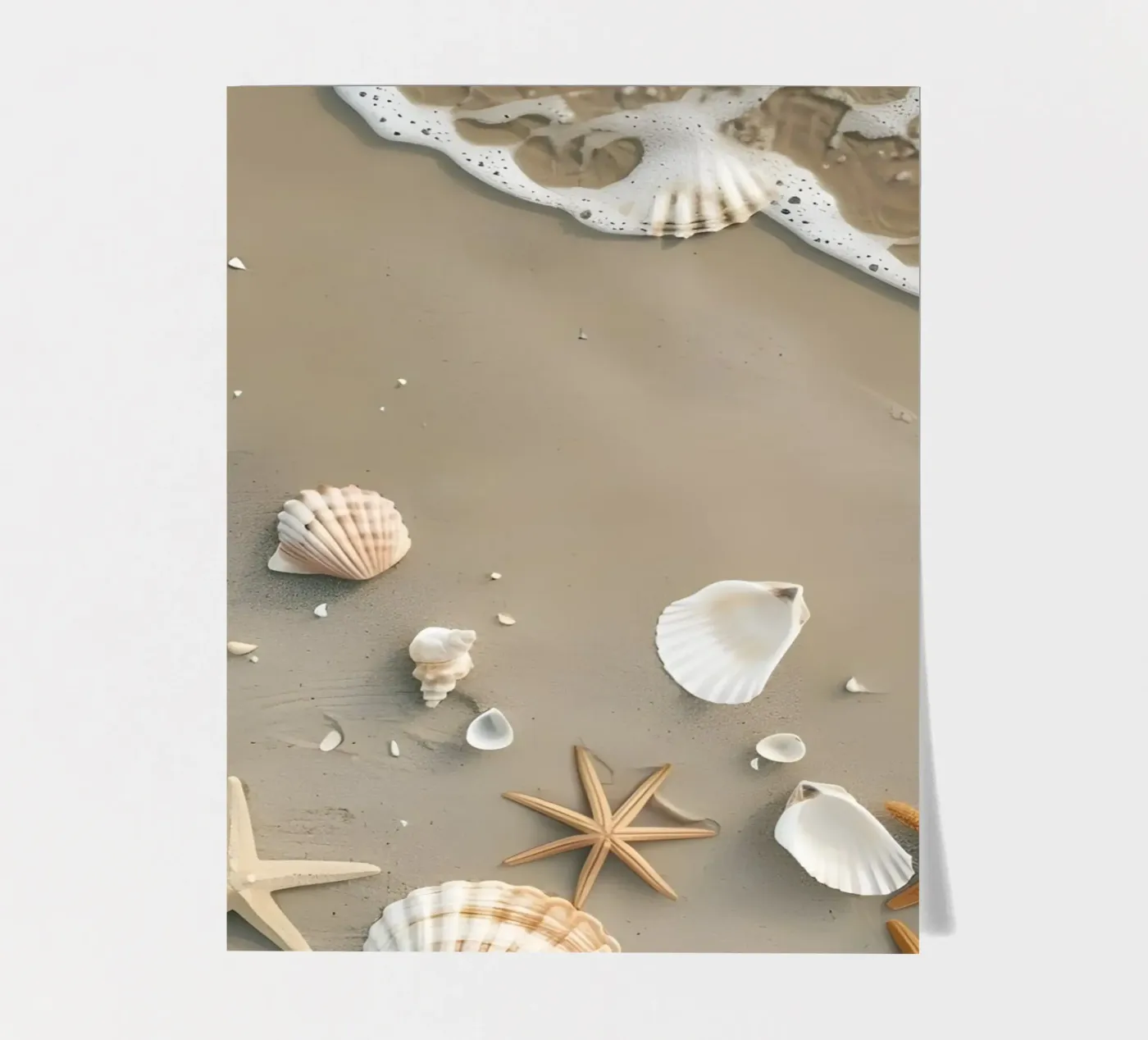 Sea Shells sticker sheet by luxi&lace
