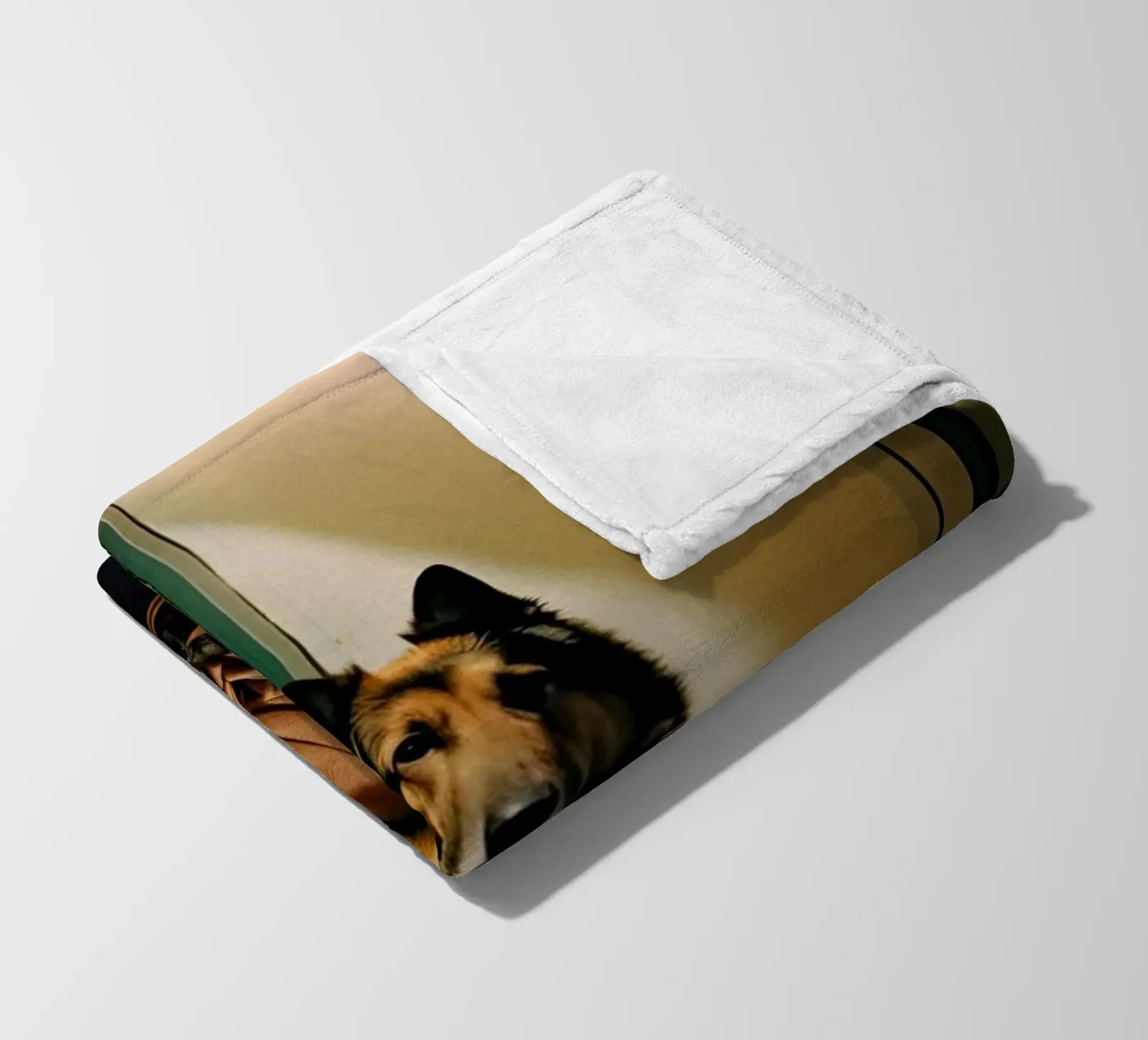 Ethan Fleecedecke von Affiches Chien Originales – Dogland