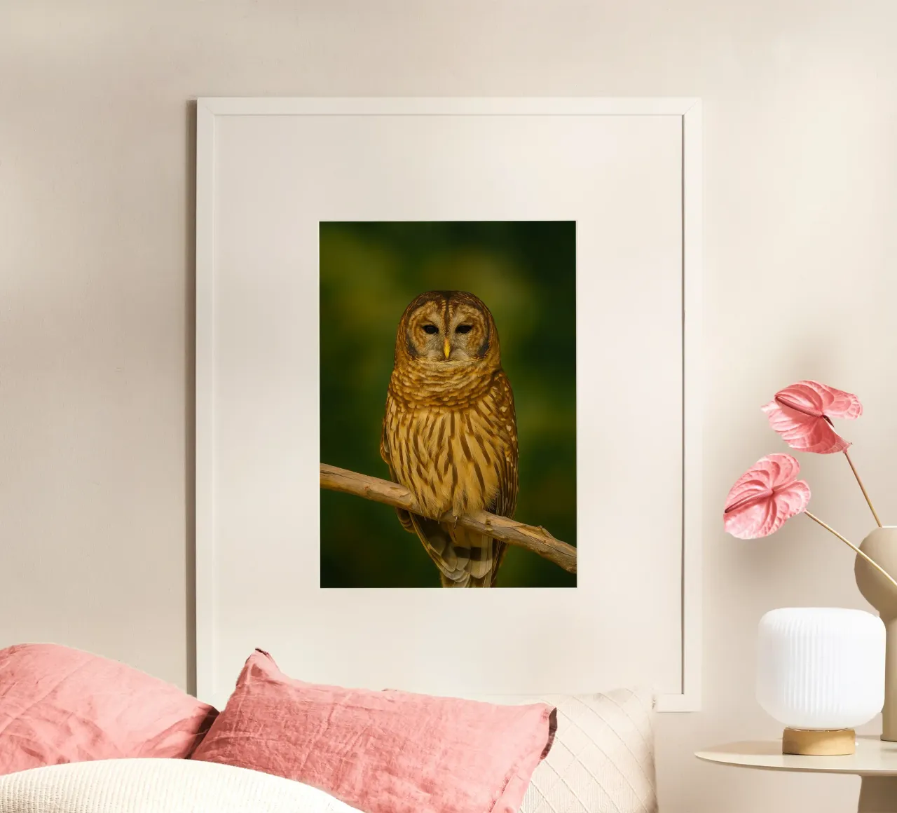 fotografia animale di gufo poster da raflessia